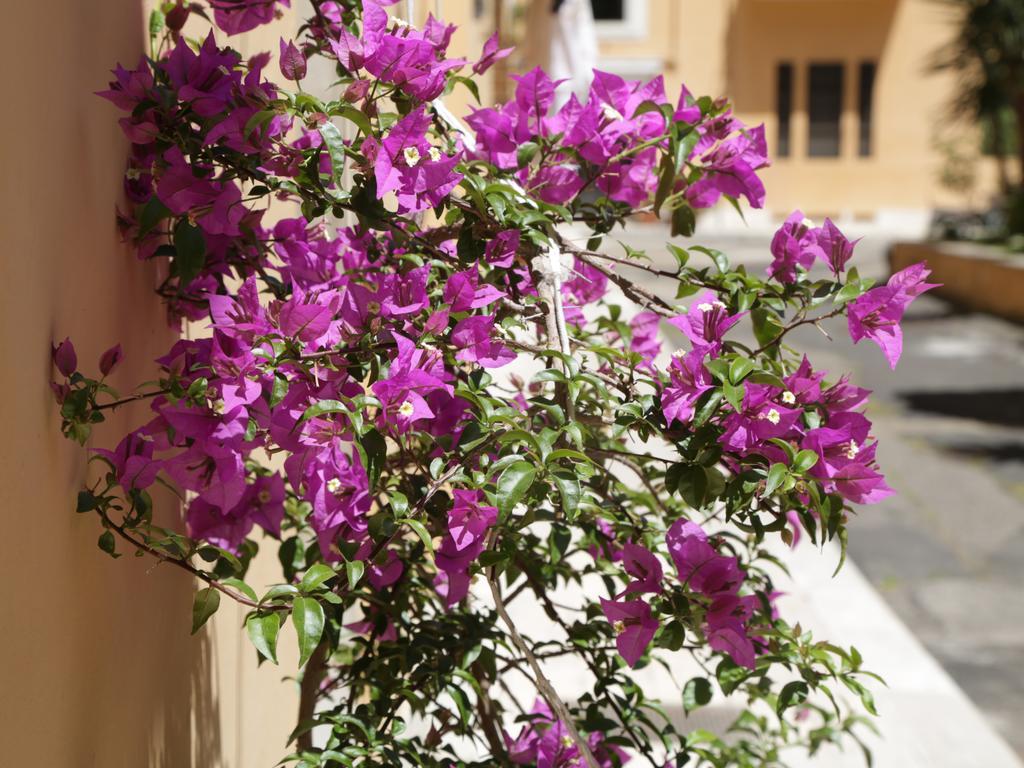 Guest House Masterintrastevere Roma Ngoại thất bức ảnh